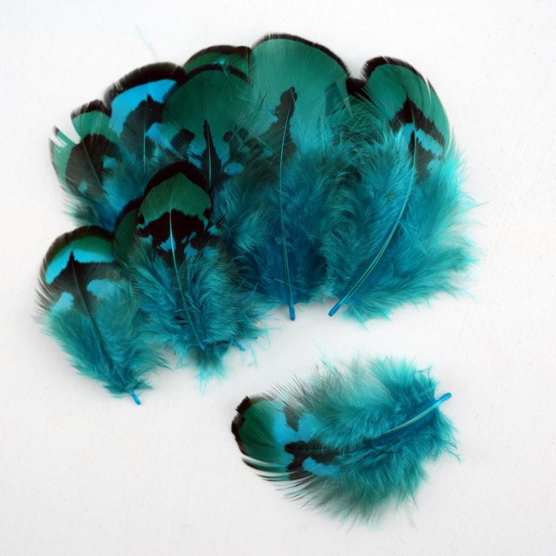 Natural DIY Pheasant Feathers  - Wedding Supply In Bulk 리뷰 및 가격