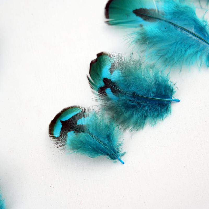 Natural DIY Pheasant Feathers  - Wedding Supply In Bulk 리뷰 및 가격