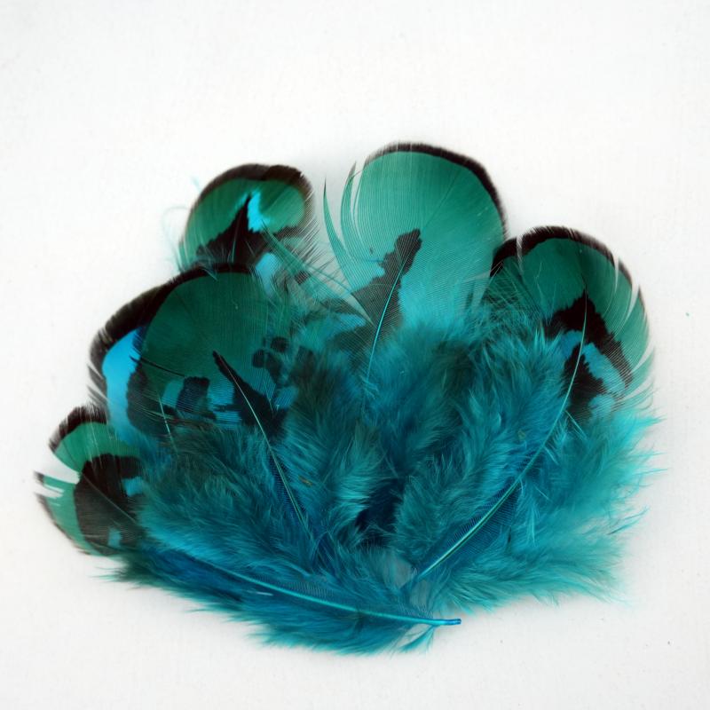 Natural DIY Pheasant Feathers  - Wedding Supply In Bulk 리뷰 및 가격