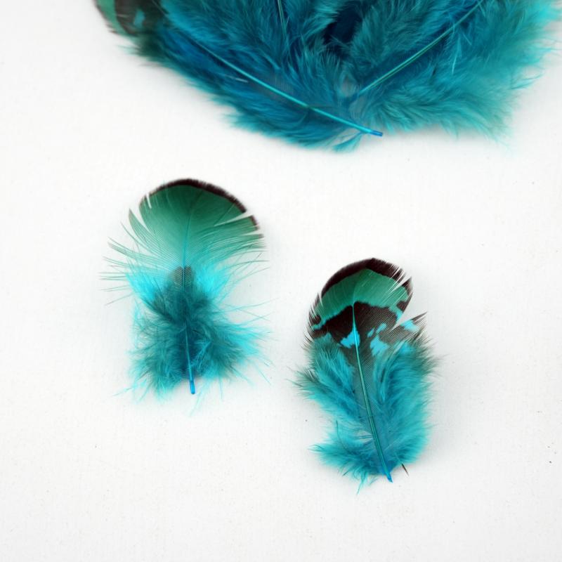 Natural DIY Pheasant Feathers  - Wedding Supply In Bulk 리뷰 및 가격