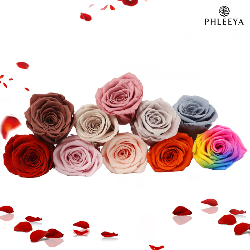 6pcs Eternal Rose Flower Heads - Wedding Supply In Bulk 리뷰 및 가격