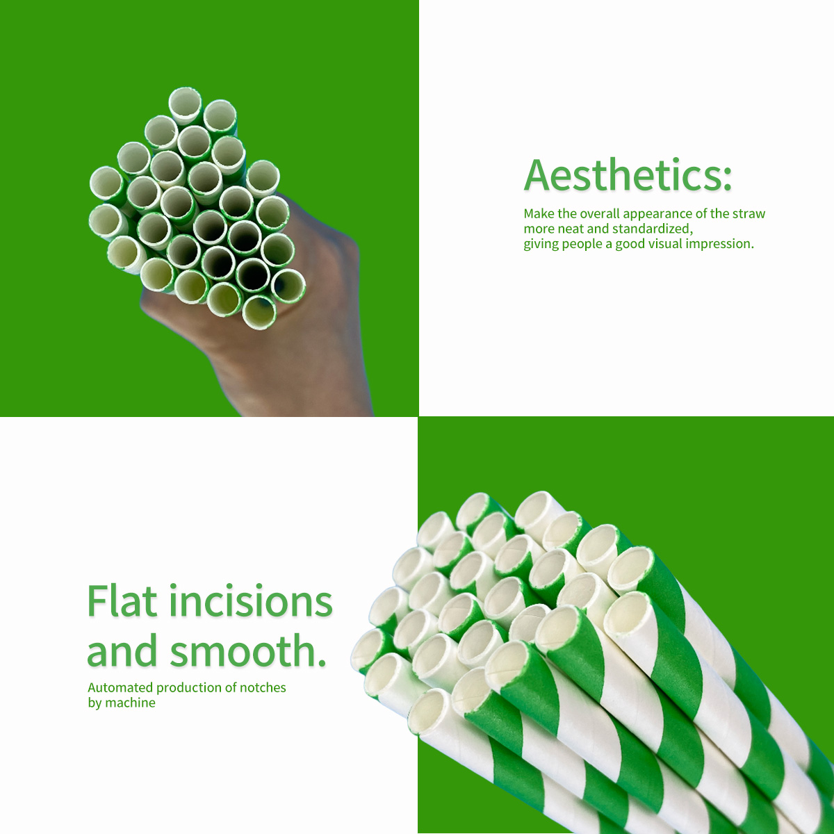 100 Pcs Biodegradable Green an - Wedding Supply In Bulk 리뷰 및 가격